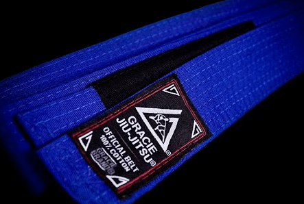 Why Most People Quit at the Blue Belt? - BJJ Spot